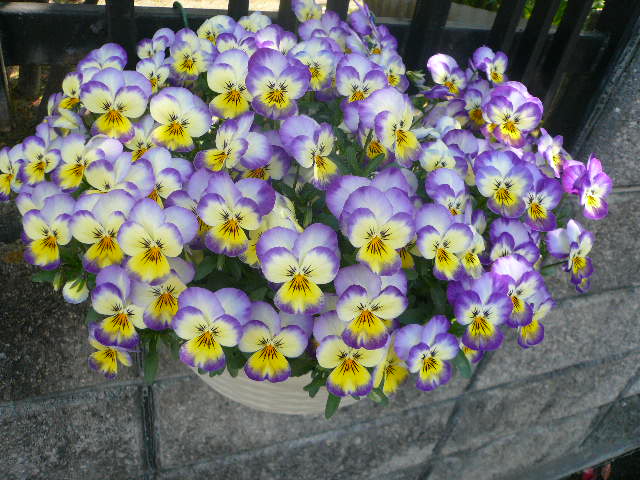 e0026017_13243698.jpg