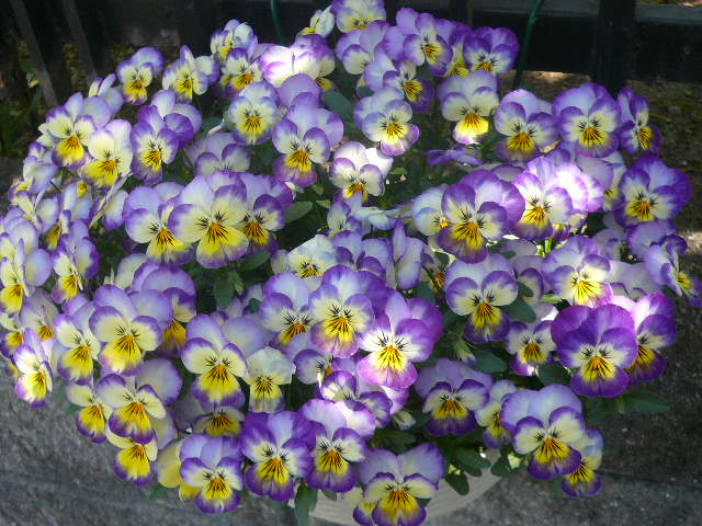 e0026017_13265920.jpg