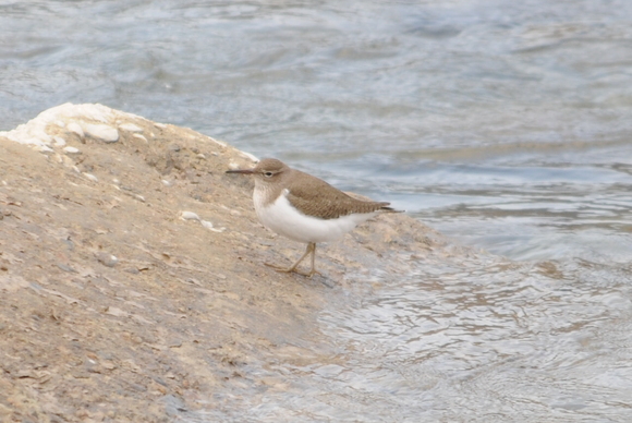 f0118332_2249952.jpg