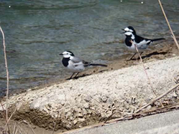 f0118332_22562688.jpg