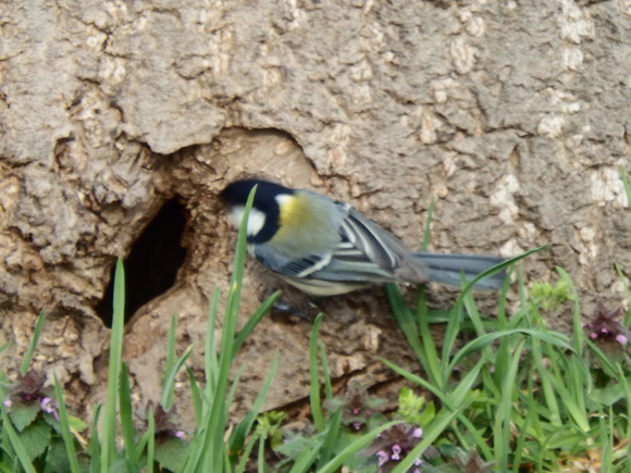 f0118332_2323994.jpg