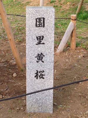 e0081334_7145012.jpg
