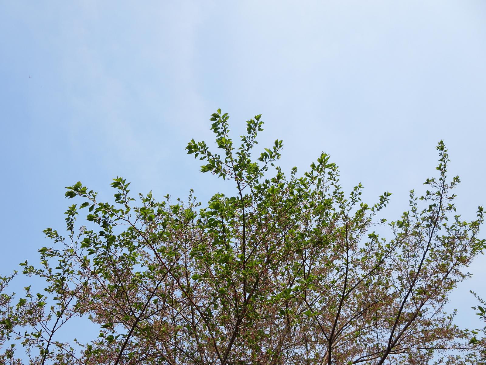 b0301236_10271237.jpg