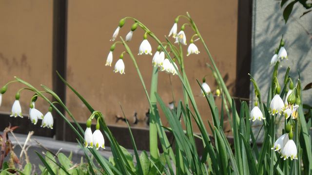 f0208737_811066.jpg