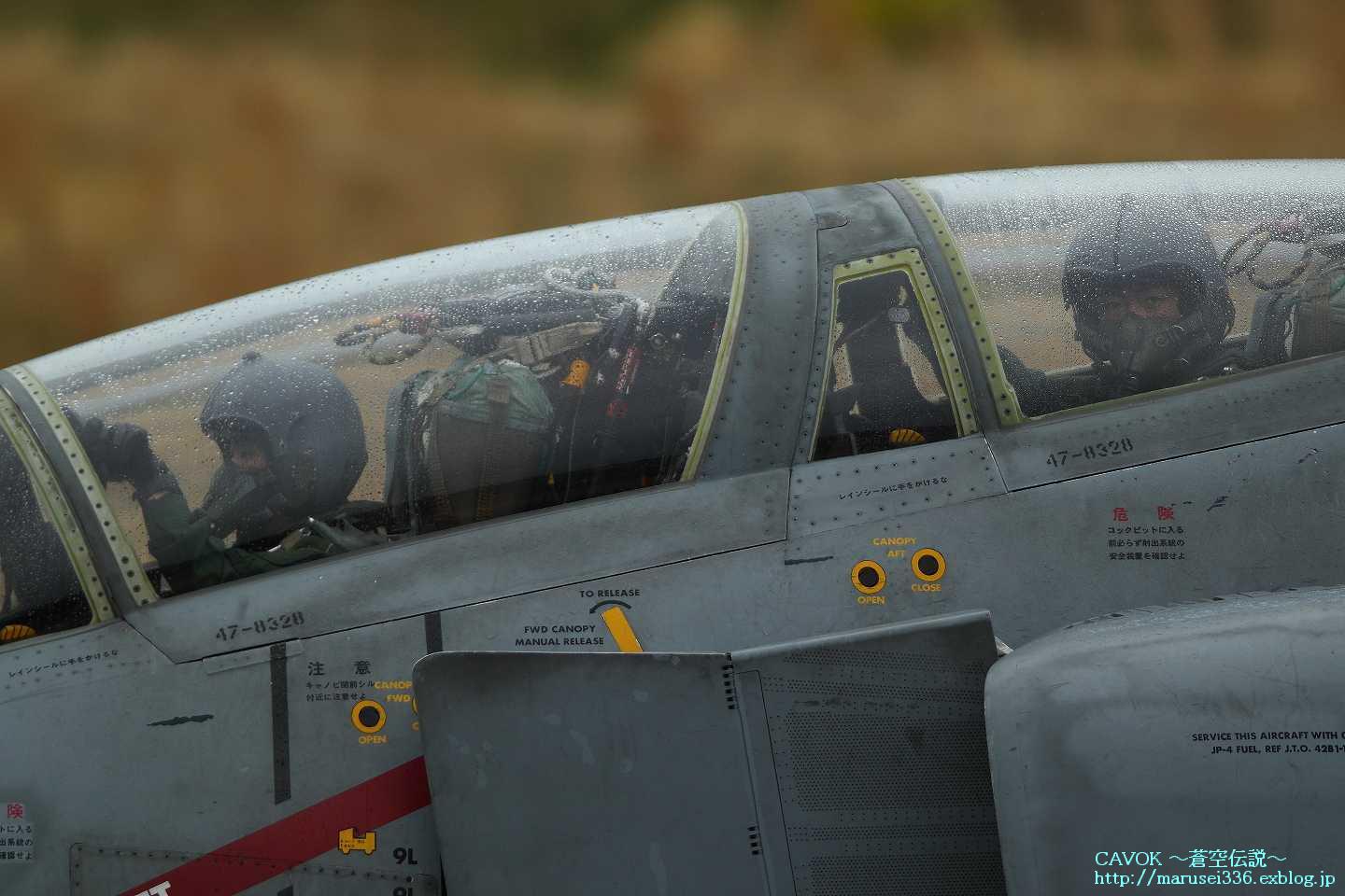 d0193838_20583132.jpg