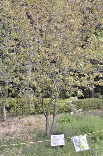 a0100742_101405.jpg