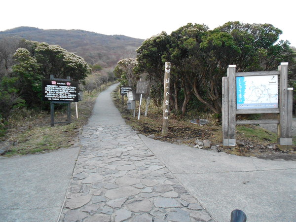 a0206345_1214576.jpg