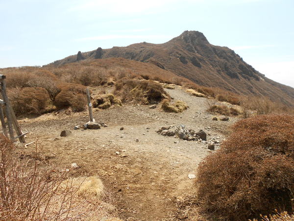a0206345_15243059.jpg