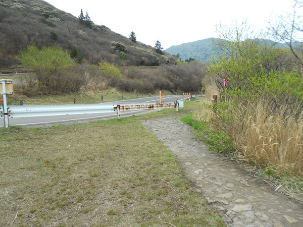 a0206345_1613610.jpg