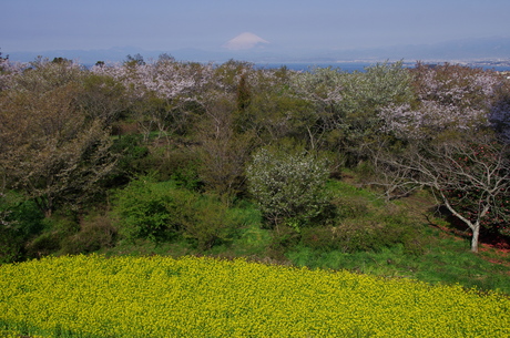 d0229560_99451.jpg