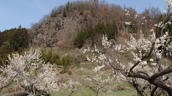 b0050067_22324663.jpg