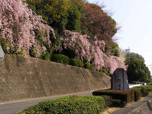 e0161972_950111.jpg
