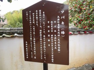 e0046477_19344216.jpg