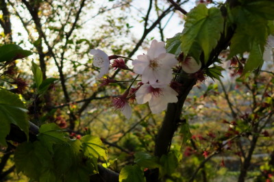 f0037378_8549100.jpg