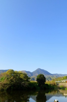 f0037378_855449.jpg