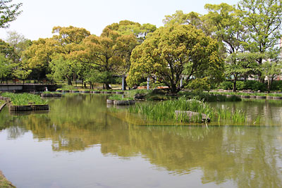 c0152779_13431186.jpg