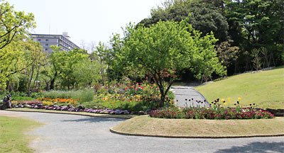 c0152779_14154349.jpg