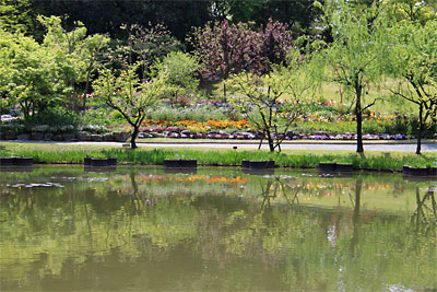 c0152779_1465836.jpg