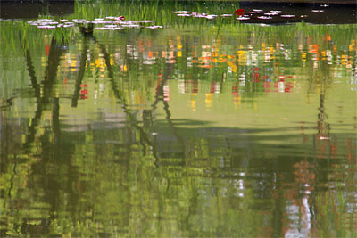 c0152779_1471055.jpg