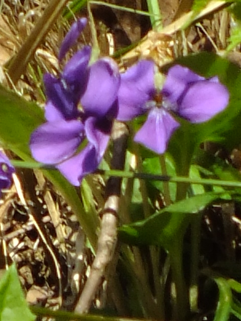 e0145782_14114440.jpg