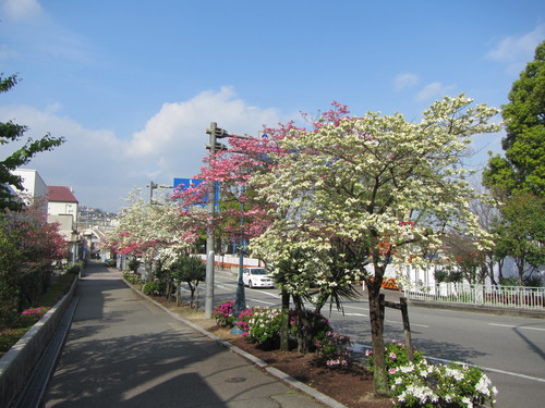 a0251786_204422.jpg