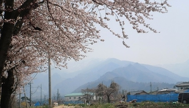 e0143690_2263084.jpg