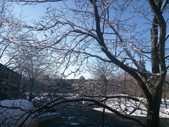 e0161692_13394841.jpg