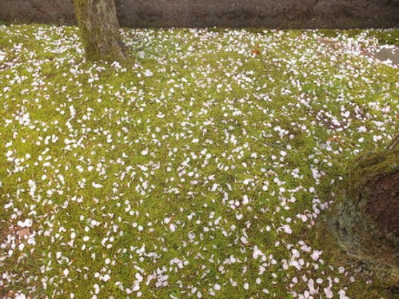 d0234293_2320509.jpg