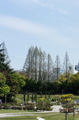 b0207497_050010.jpg
