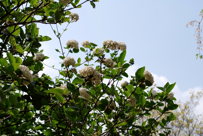 e0025300_14343188.jpg