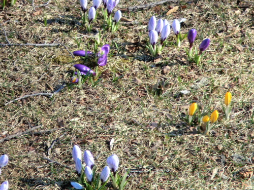 e0242504_20334477.jpg