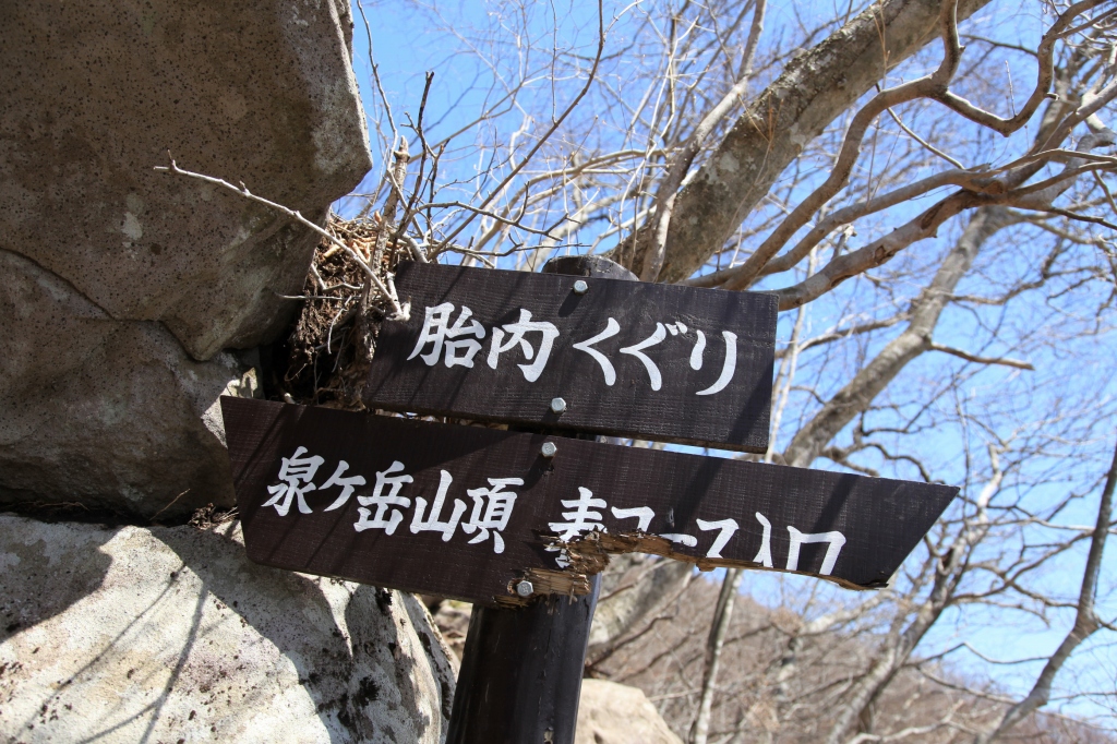 b0050305_17533012.jpg