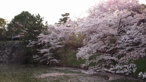 f0221708_19351474.jpg