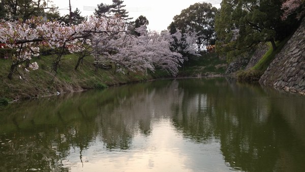 f0221708_19371249.jpg