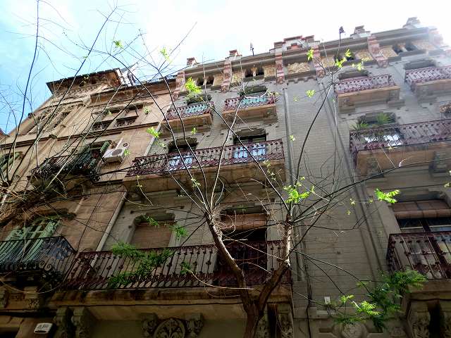 b0064411_02222670.jpg