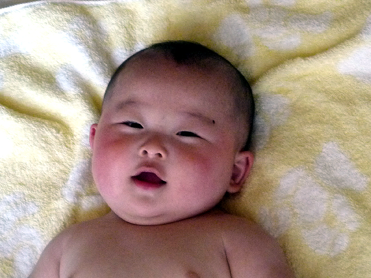 e0117516_252597.jpg