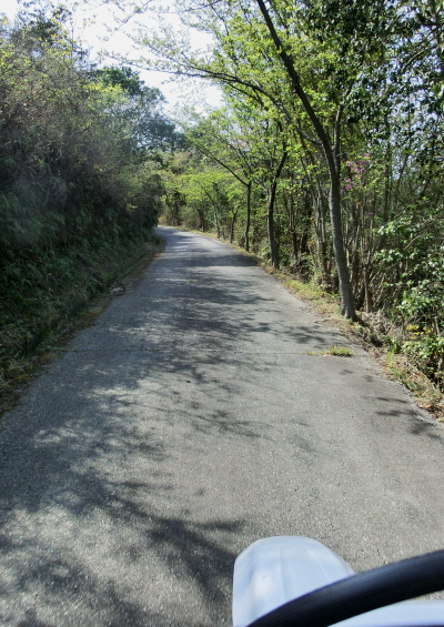 f0248120_2005574.jpg
