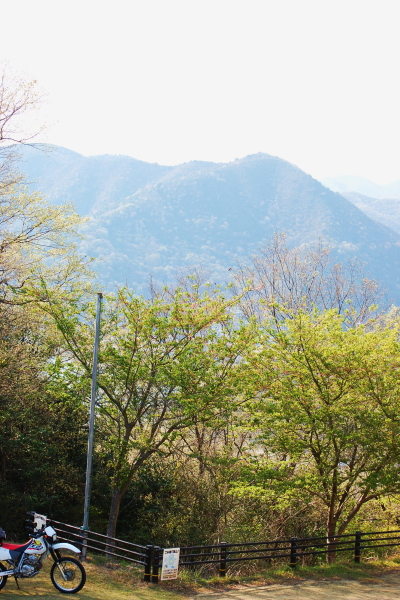 f0248120_2011719.jpg