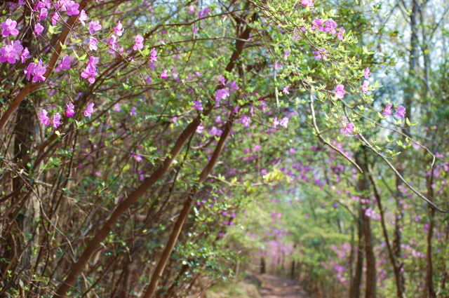 f0248120_201349.jpg