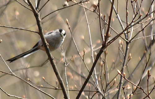 f0248120_2021058.jpg