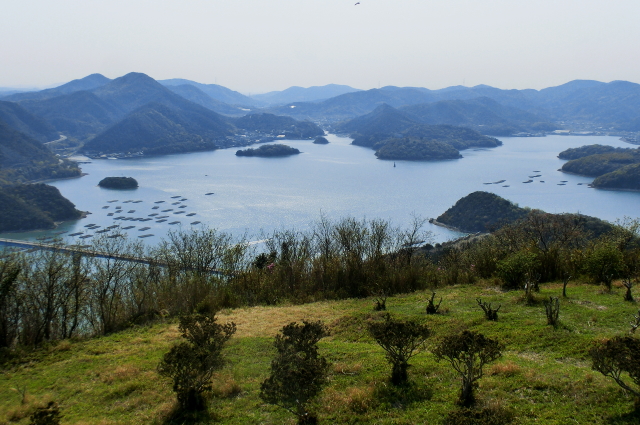 f0248120_2023947.jpg
