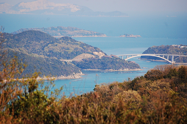 f0248120_203425.jpg