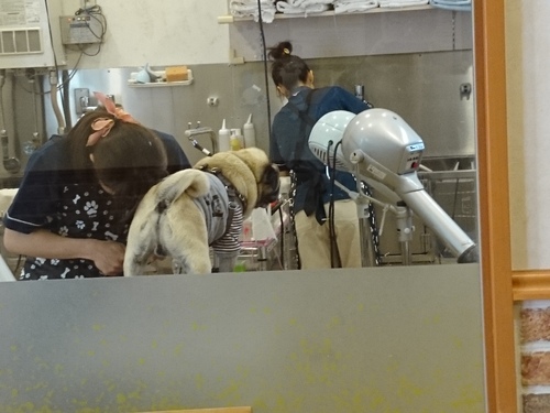 f0128821_21282524.jpg
