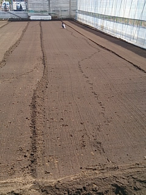 e0098223_1521280.jpg