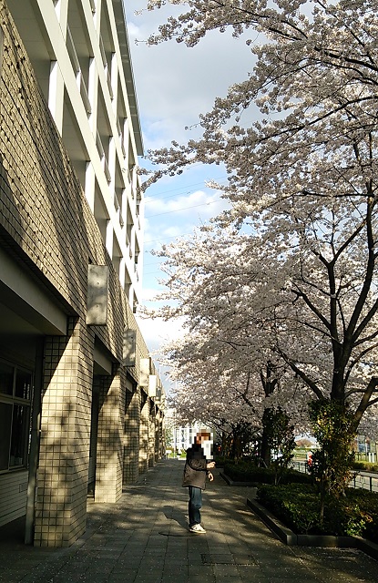 b0199924_1921468.jpg