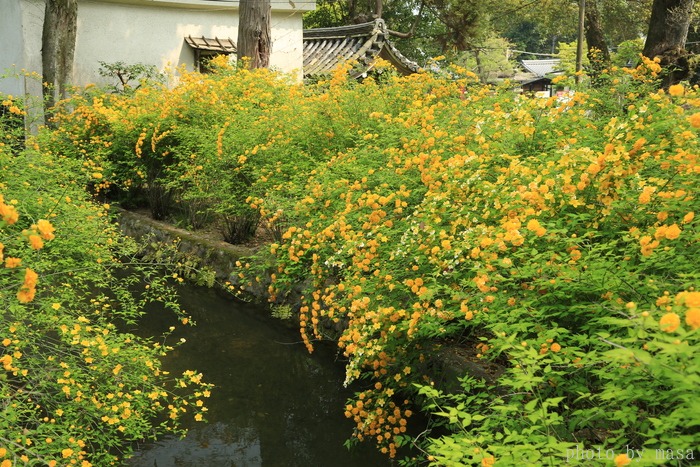 d0283427_17422151.jpg
