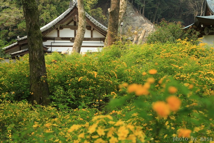 d0283427_17431476.jpg