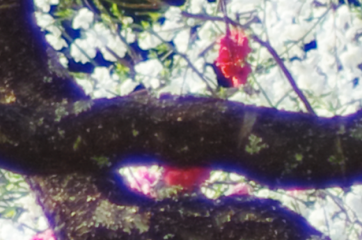 e0317528_13453804.png