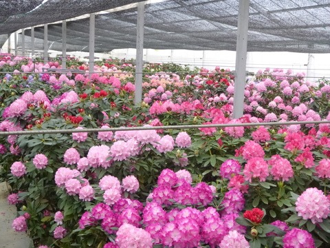 e0120932_235119.jpg