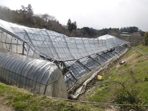 e0120932_2363072.jpg